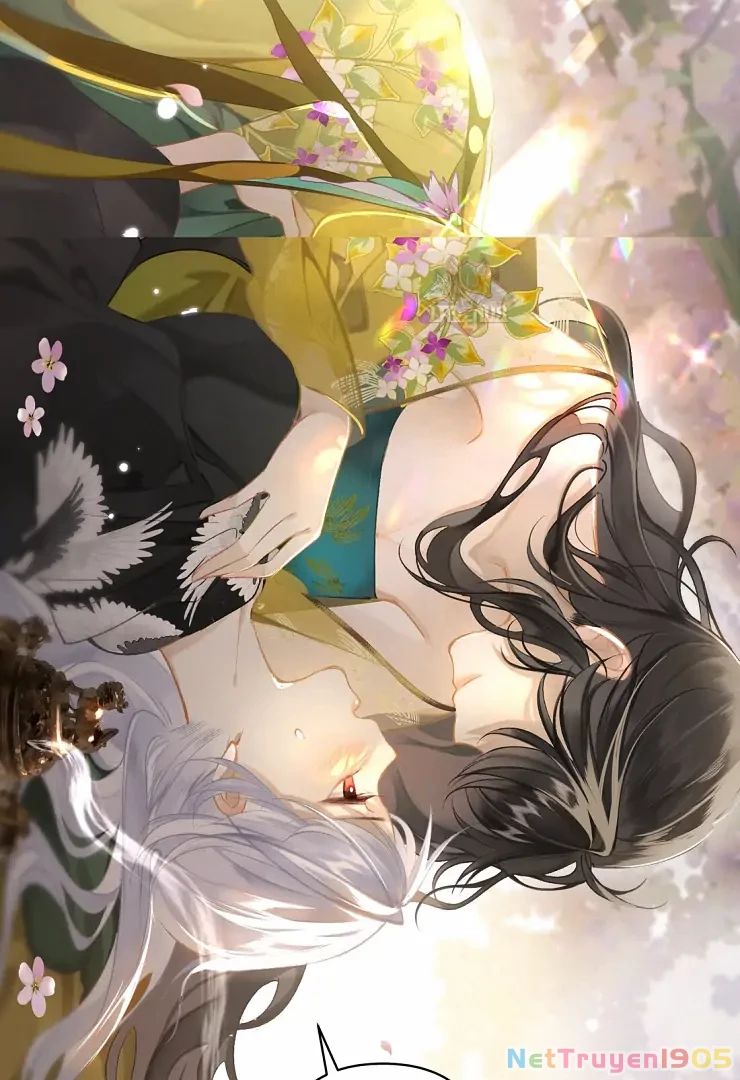 Đông Hải Tìm Mỹ Nhân Chapter 2 - 34