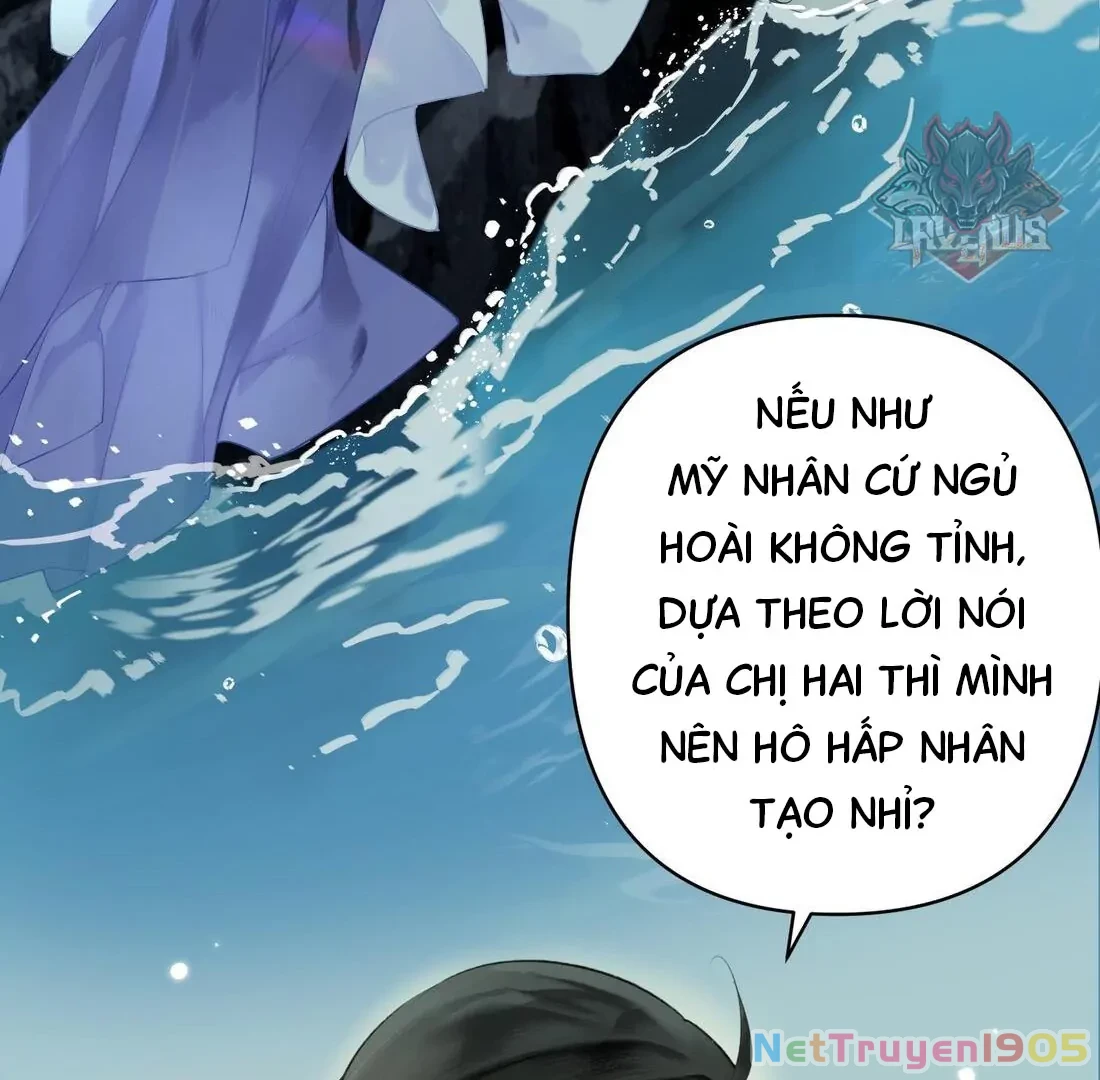 Đông Hải Tìm Mỹ Nhân Chapter 3 - 3