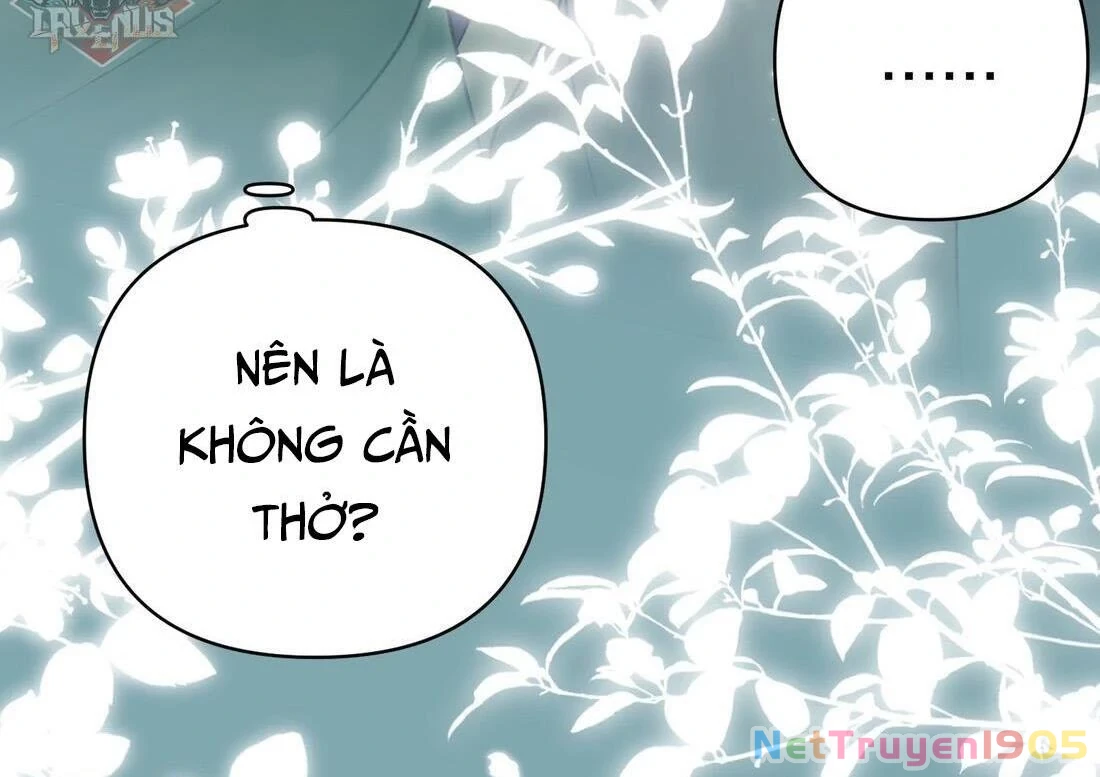 Đông Hải Tìm Mỹ Nhân Chapter 3 - 23
