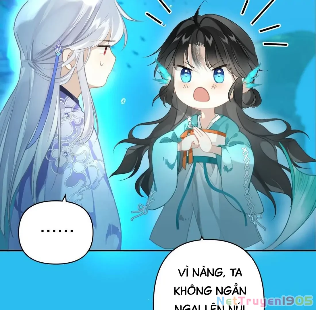Đông Hải Tìm Mỹ Nhân Chapter 3 - 43