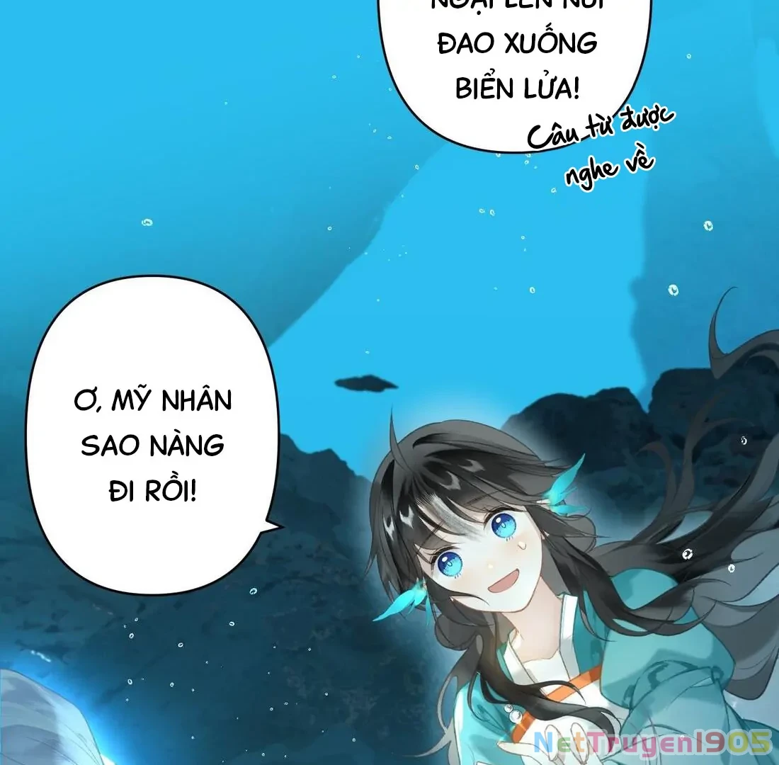 Đông Hải Tìm Mỹ Nhân Chapter 3 - 44