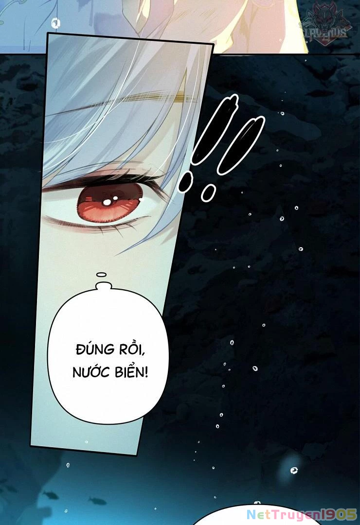 Đông Hải Tìm Mỹ Nhân Chapter 4 - 19