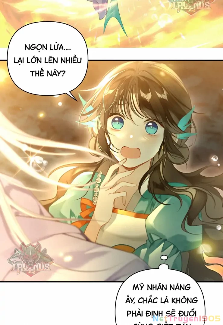 Đông Hải Tìm Mỹ Nhân Chapter 5 - 13