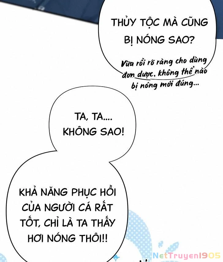 Đông Hải Tìm Mỹ Nhân Chapter 6 - 29