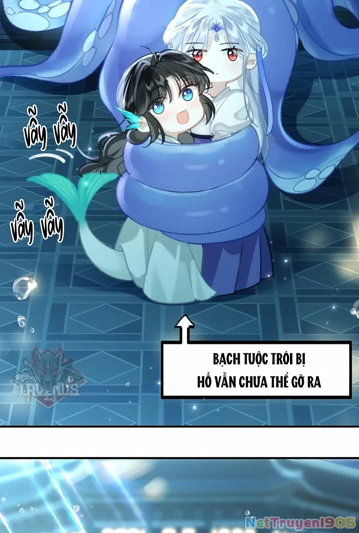 Đông Hải Tìm Mỹ Nhân Chapter 7 - 52