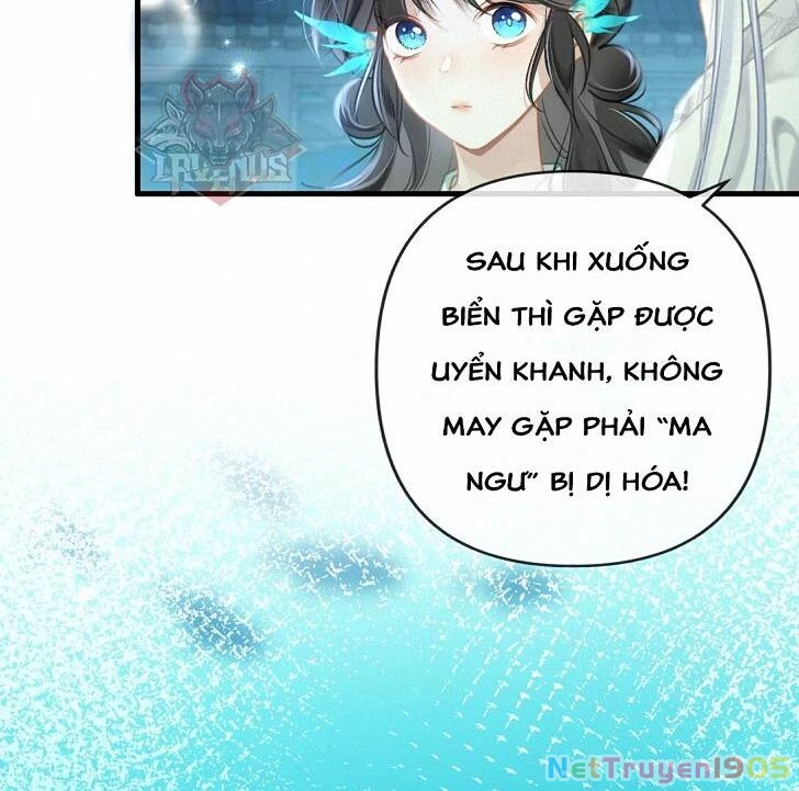 Đông Hải Tìm Mỹ Nhân Chapter 7 - 71
