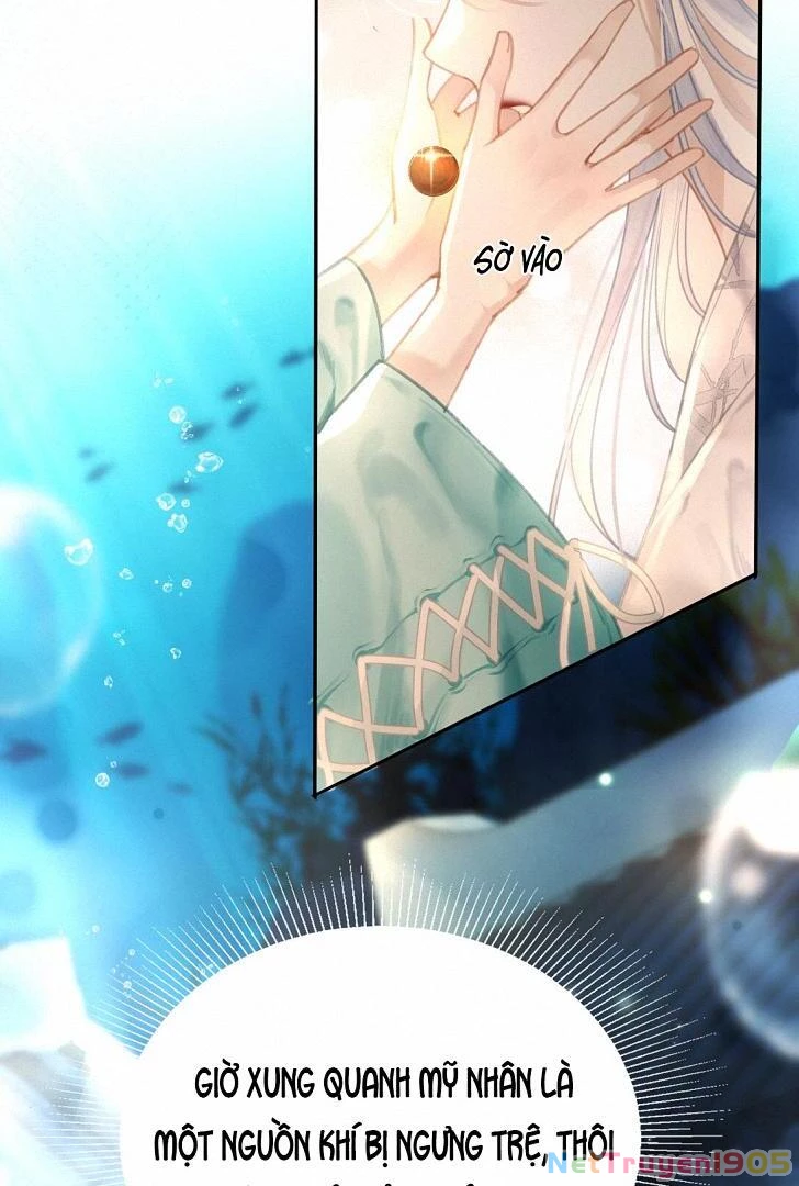 Đông Hải Tìm Mỹ Nhân Chapter 8 - 19
