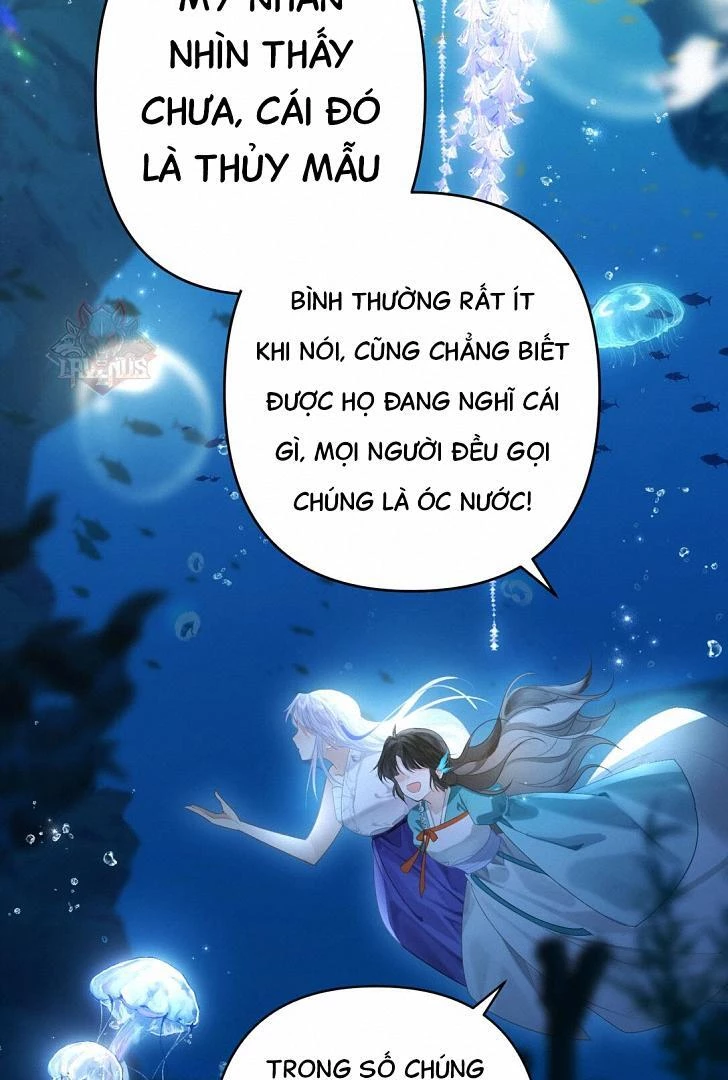 Đông Hải Tìm Mỹ Nhân Chapter 8 - 50