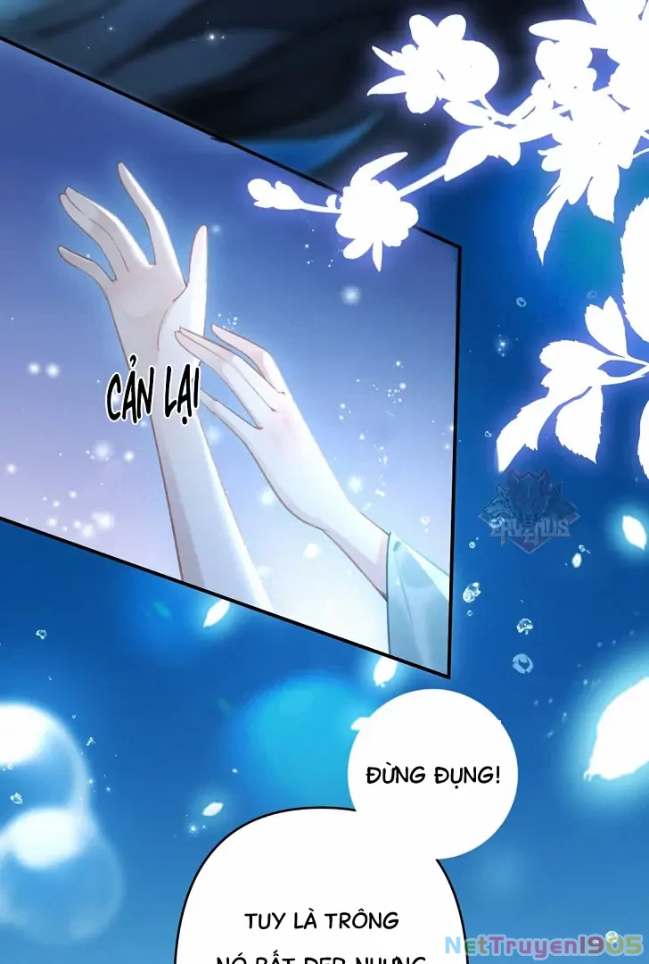 Đông Hải Tìm Mỹ Nhân Chapter 8 - 54