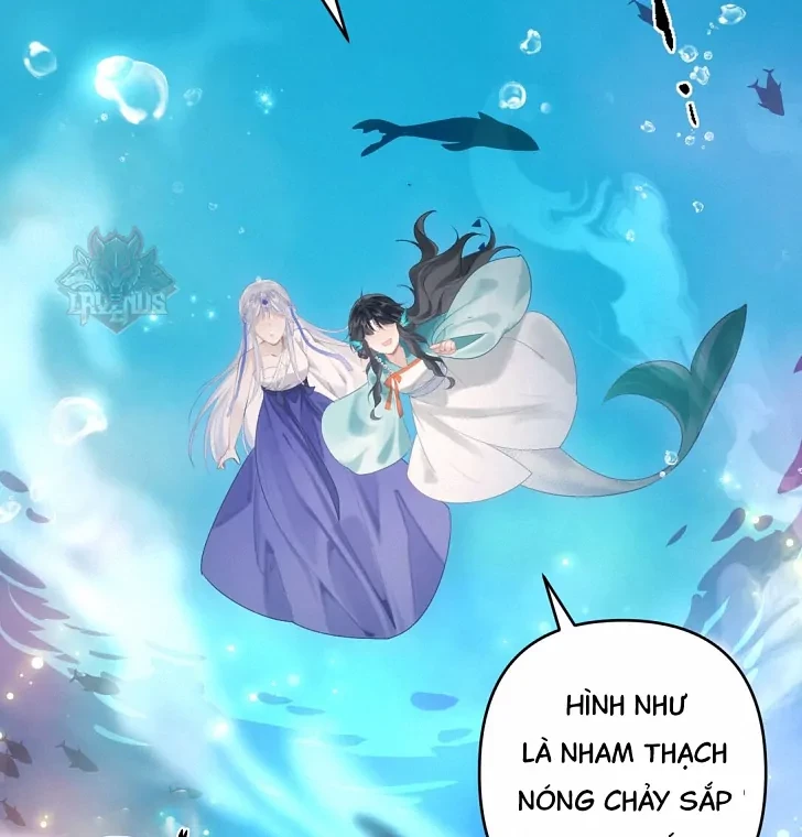 Đông Hải Tìm Mỹ Nhân Chapter 8 - 56