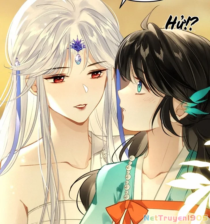 Đông Hải Tìm Mỹ Nhân Chapter 8 - 71