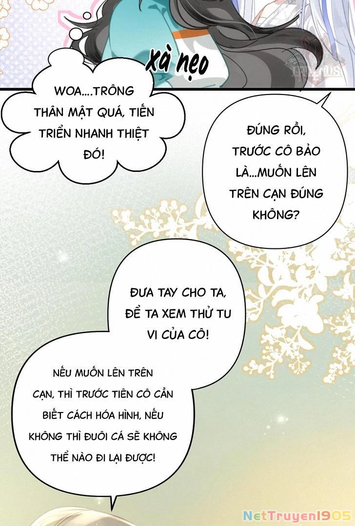 Đông Hải Tìm Mỹ Nhân Chapter 9 - 8