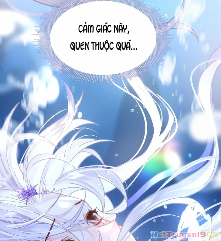 Đông Hải Tìm Mỹ Nhân Chapter 9 - 70