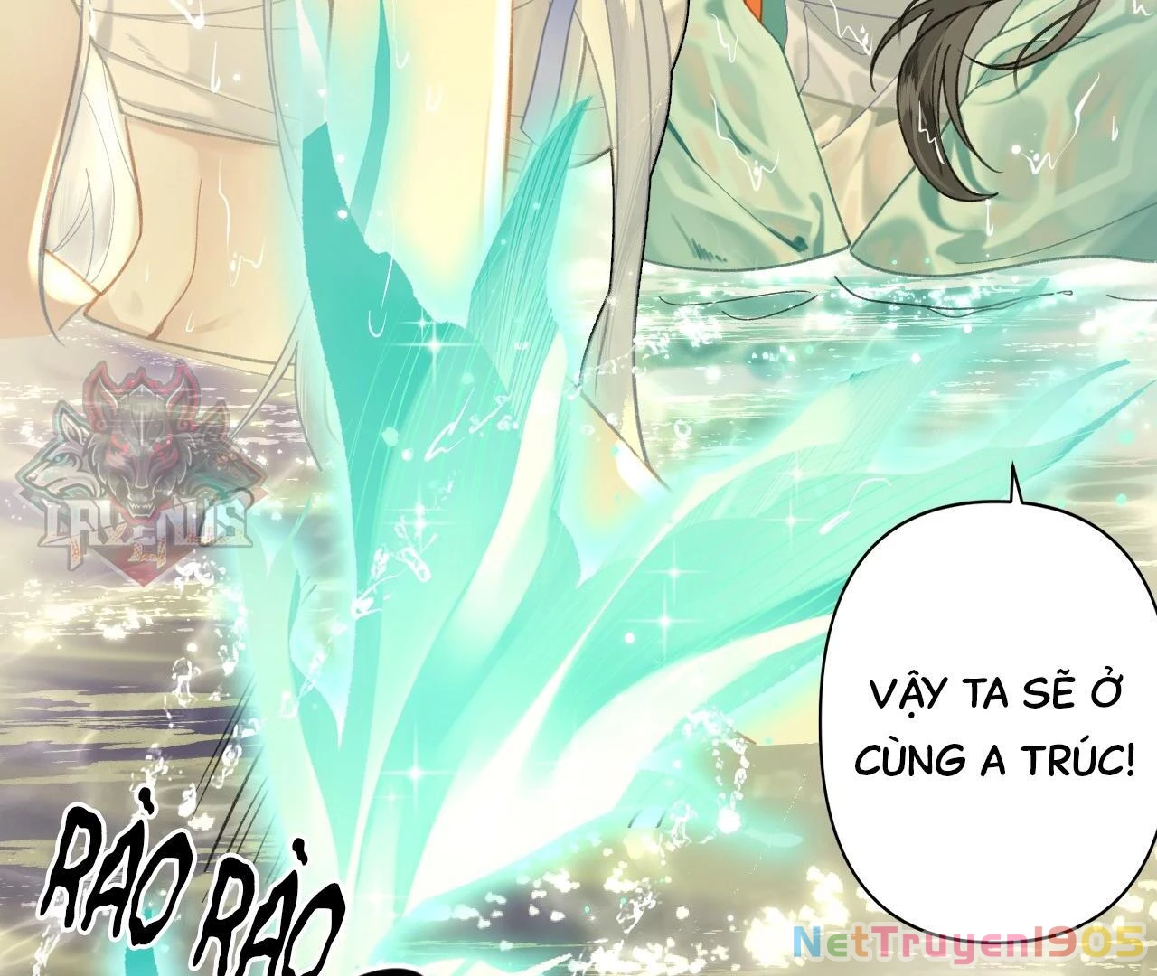 Đông Hải Tìm Mỹ Nhân Chapter 10 - 12