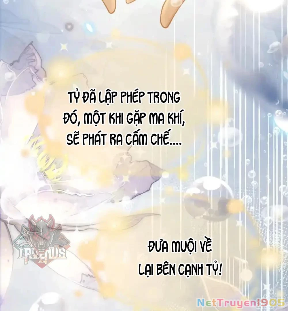 Đông Hải Tìm Mỹ Nhân Chapter 10 - 20