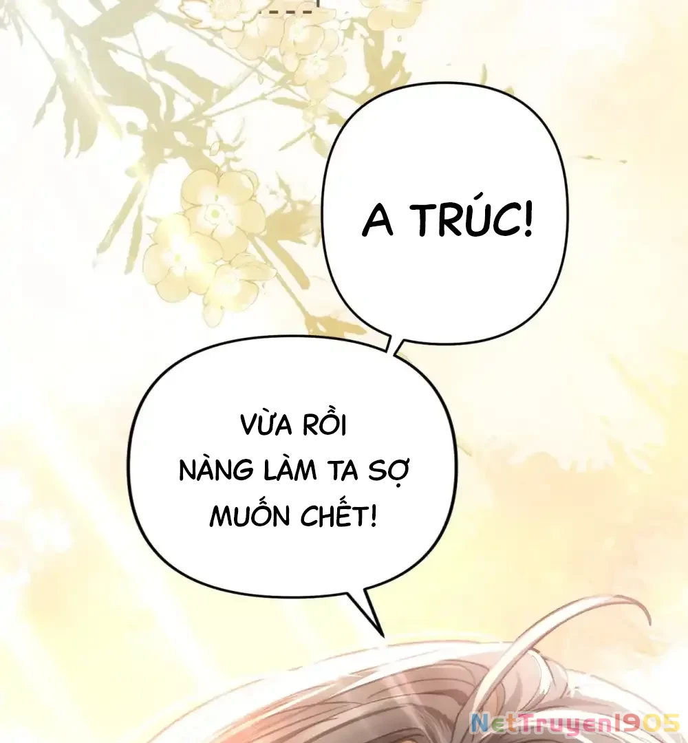 Đông Hải Tìm Mỹ Nhân Chapter 10 - 80