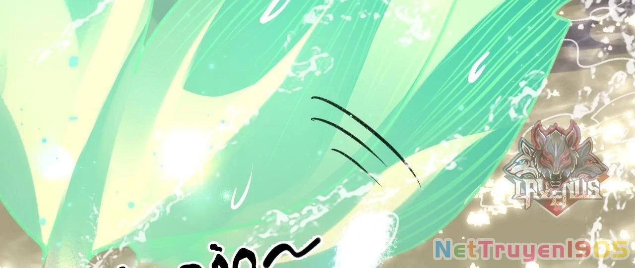 Đông Hải Tìm Mỹ Nhân Chapter 11 - 62