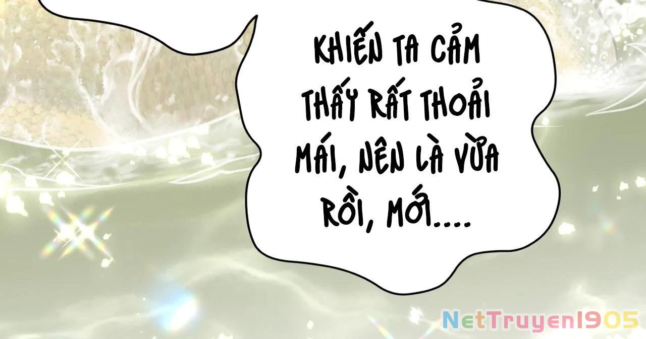 Đông Hải Tìm Mỹ Nhân Chapter 11 - 74