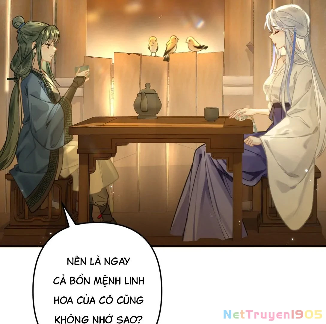 Đông Hải Tìm Mỹ Nhân Chapter 12 - 16