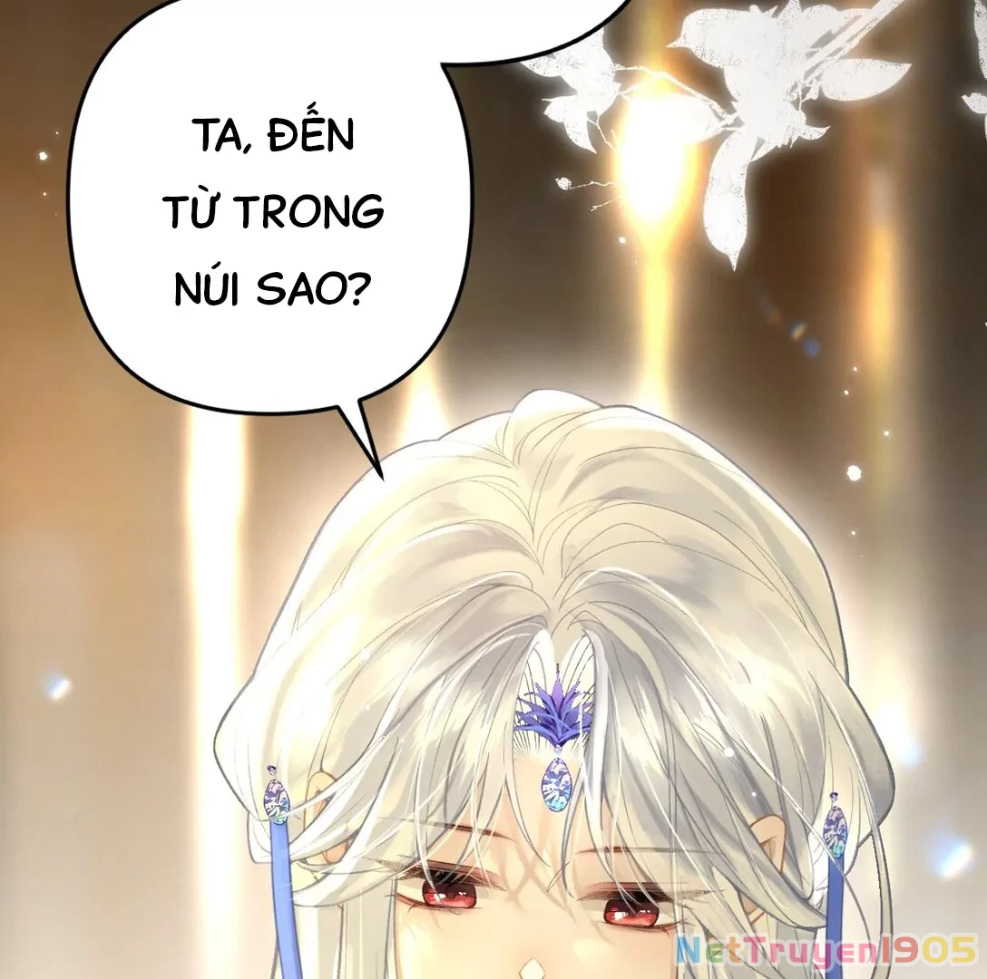 Đông Hải Tìm Mỹ Nhân Chapter 12 - 19