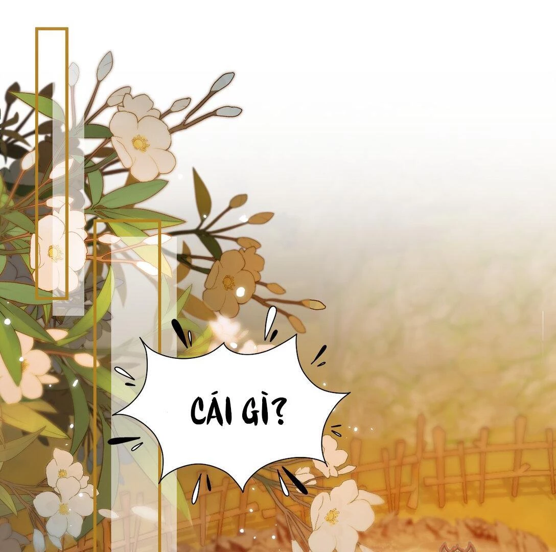 Đông Hải Tìm Mỹ Nhân Chapter 12 - 30