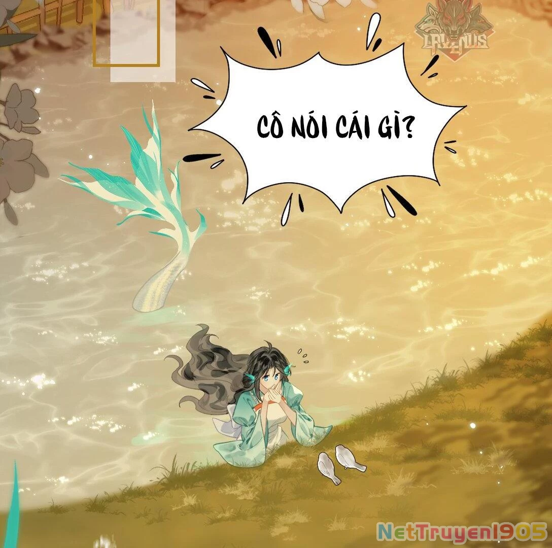 Đông Hải Tìm Mỹ Nhân Chapter 12 - 31