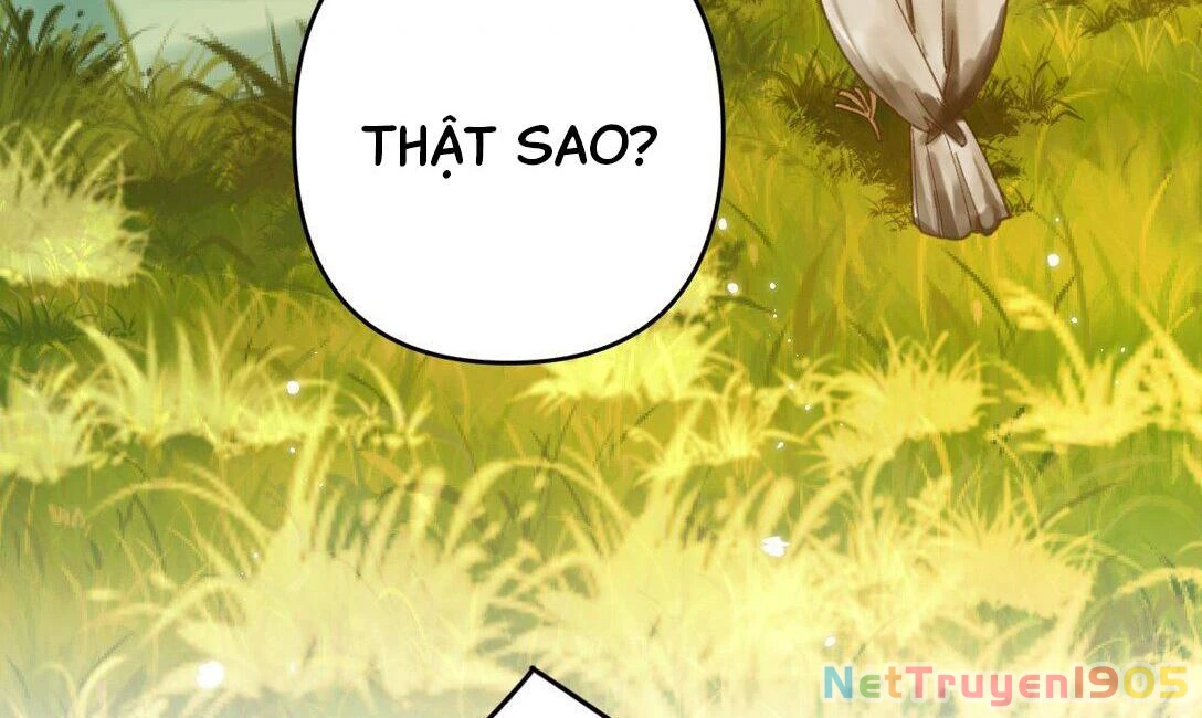 Đông Hải Tìm Mỹ Nhân Chapter 12 - 35