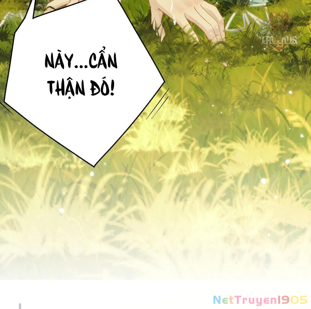 Đông Hải Tìm Mỹ Nhân Chapter 12 - 40