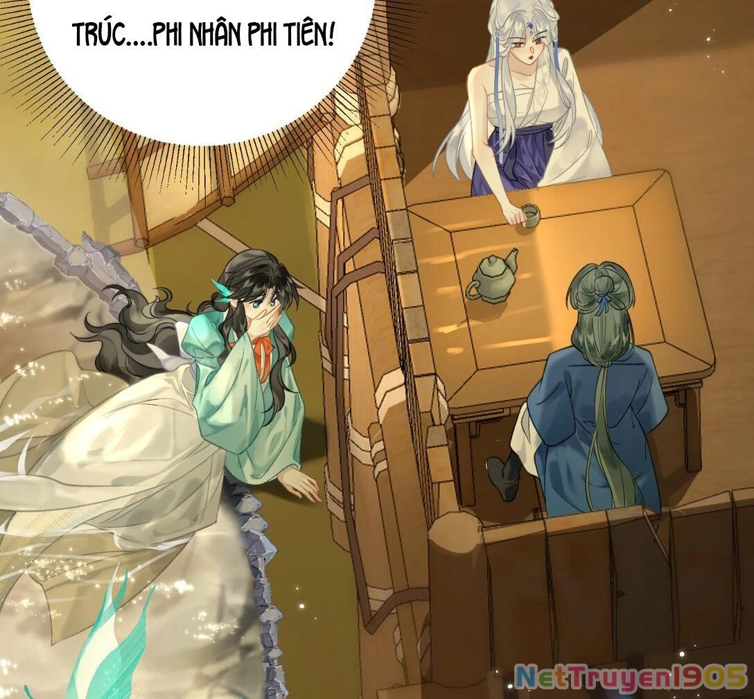 Đông Hải Tìm Mỹ Nhân Chapter 12 - 81