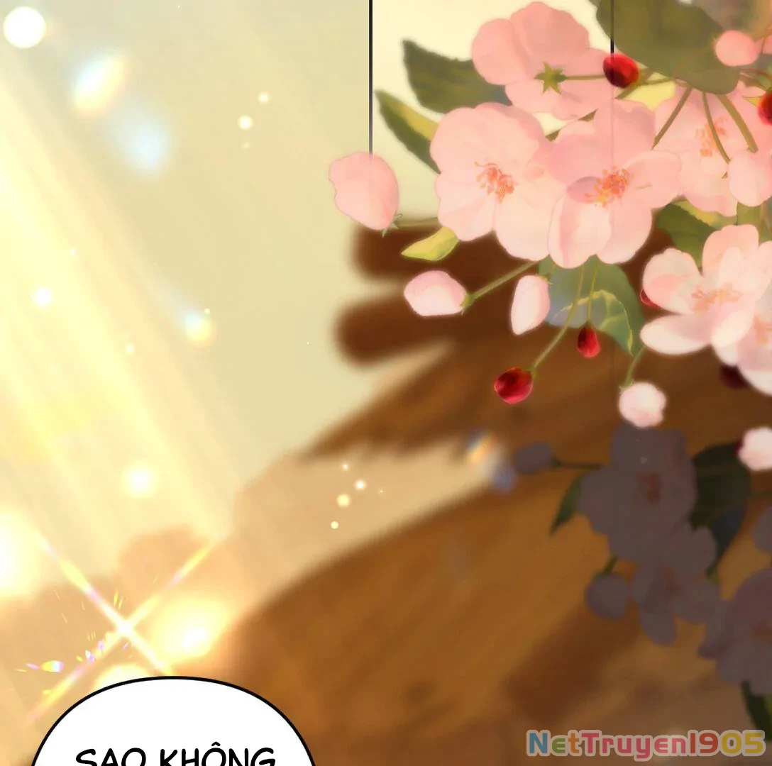 Đông Hải Tìm Mỹ Nhân Chapter 12 - 104