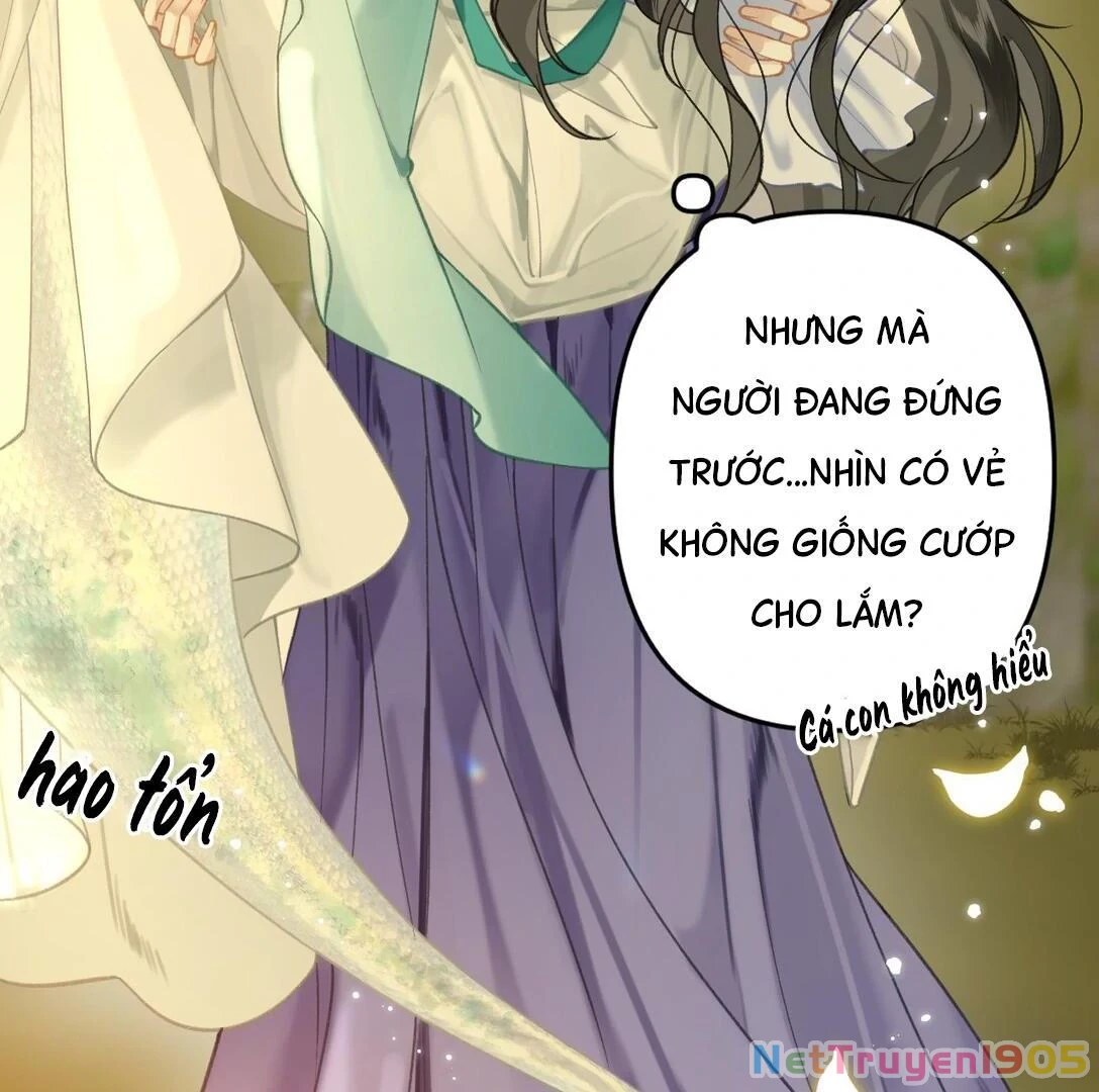 Đông Hải Tìm Mỹ Nhân Chapter 13 - 19