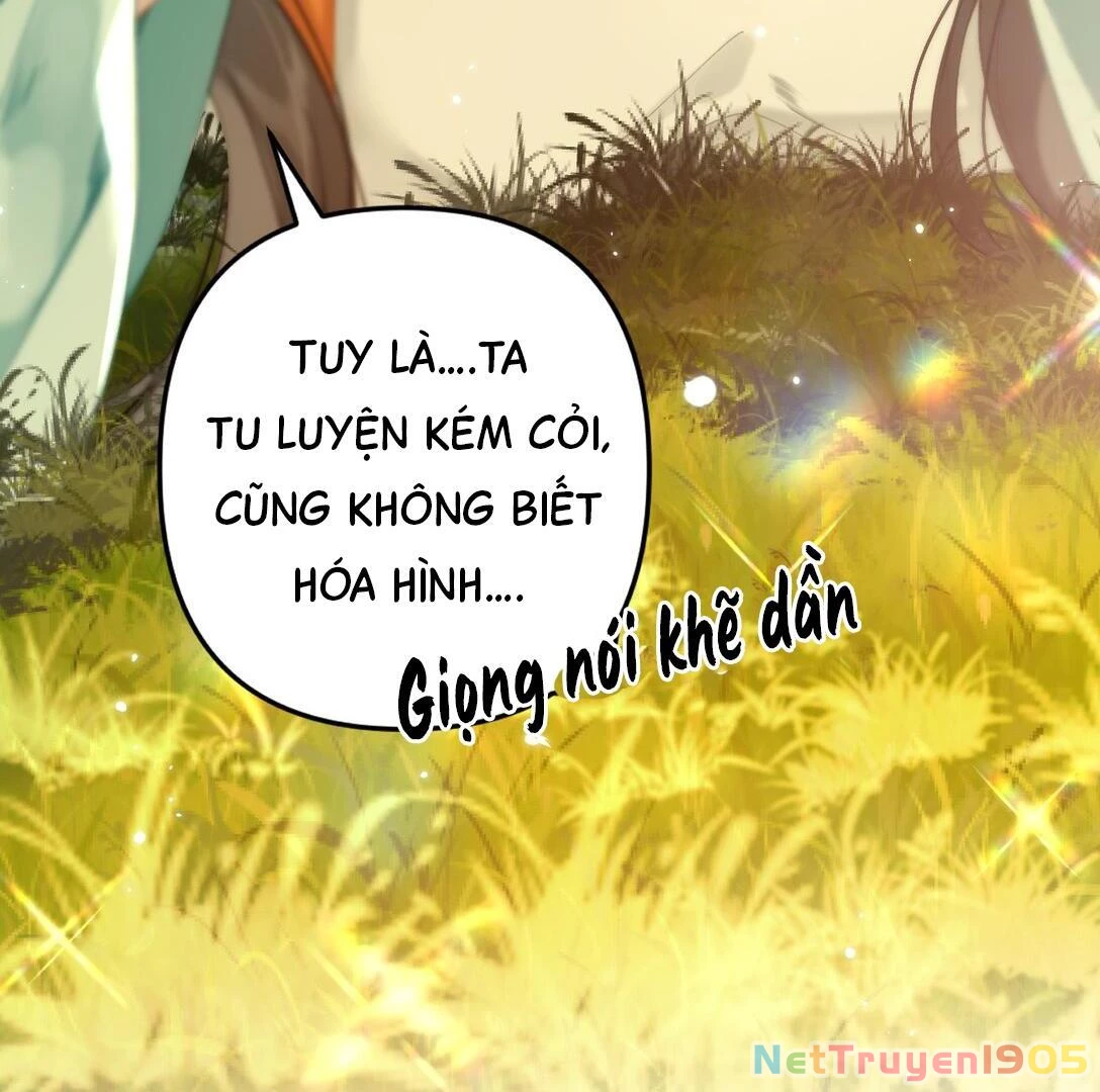 Đông Hải Tìm Mỹ Nhân Chapter 13 - 32