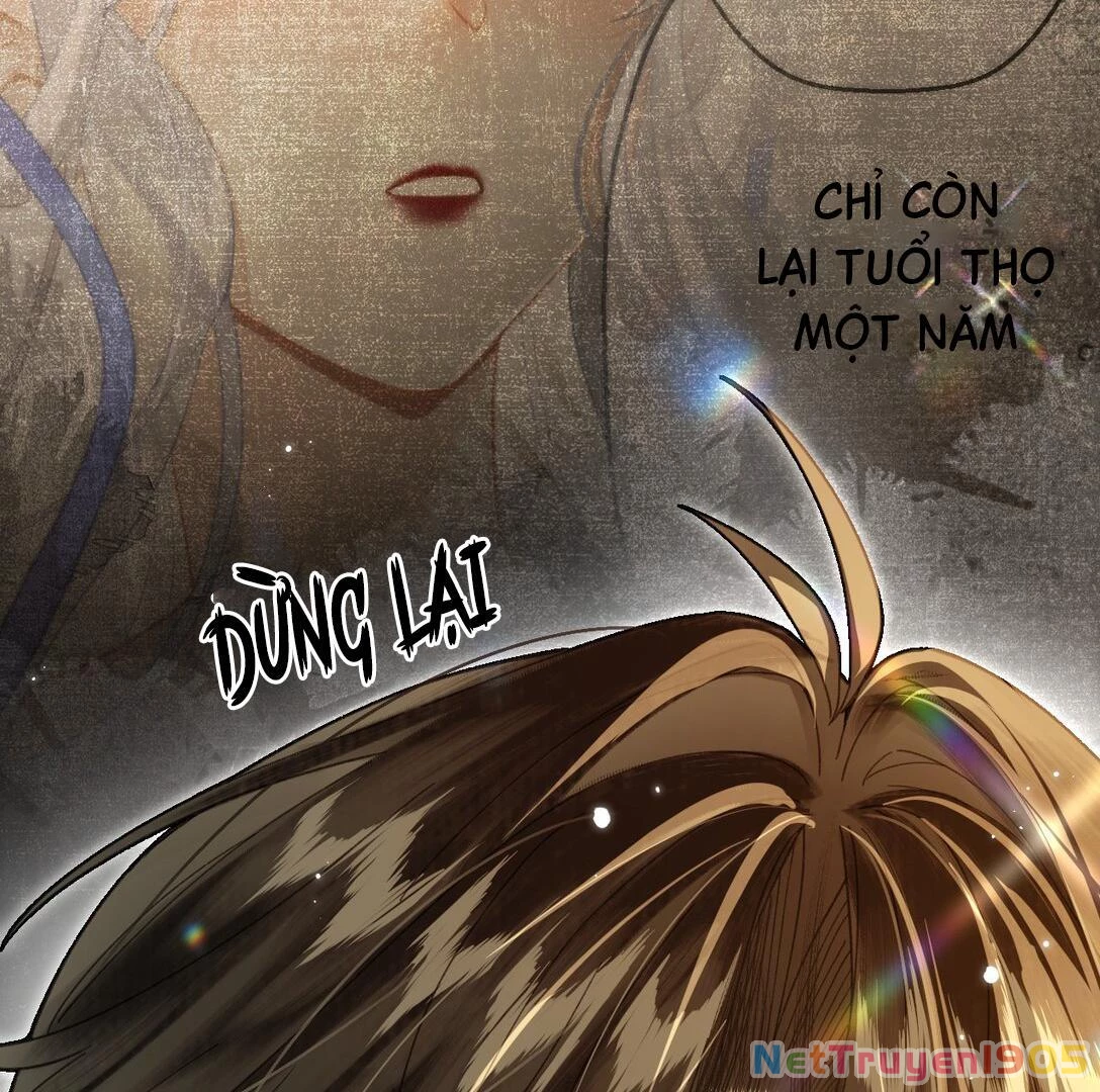 Đông Hải Tìm Mỹ Nhân Chapter 13 - 40
