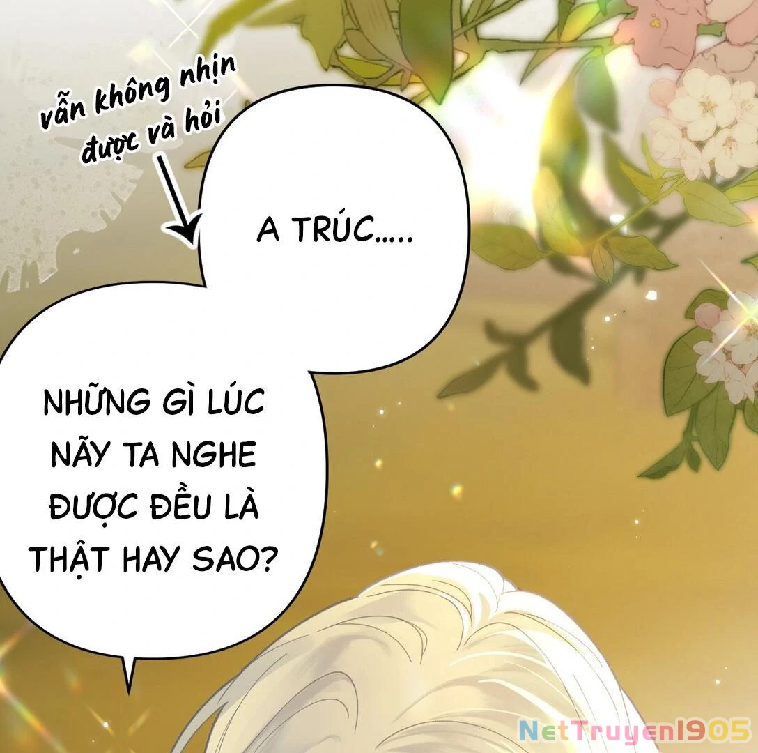 Đông Hải Tìm Mỹ Nhân Chapter 13 - 43