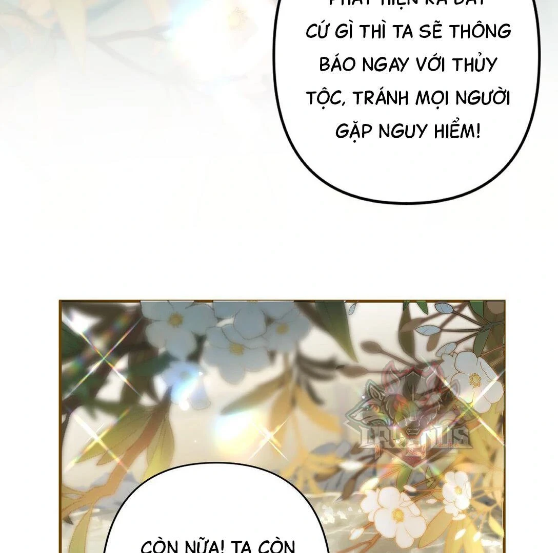 Đông Hải Tìm Mỹ Nhân Chapter 13 - 67