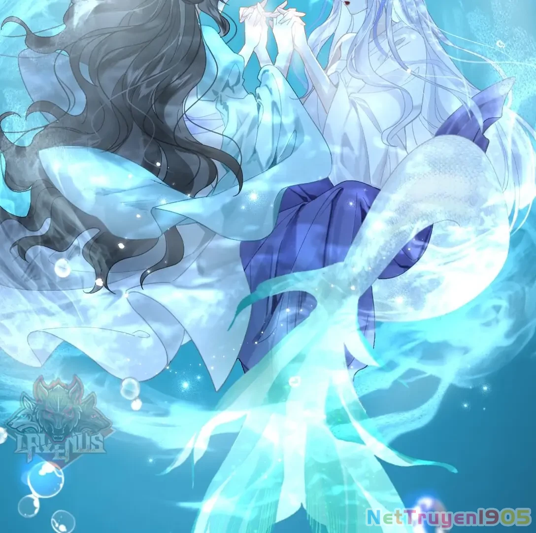 Đông Hải Tìm Mỹ Nhân Chapter 14 - 10