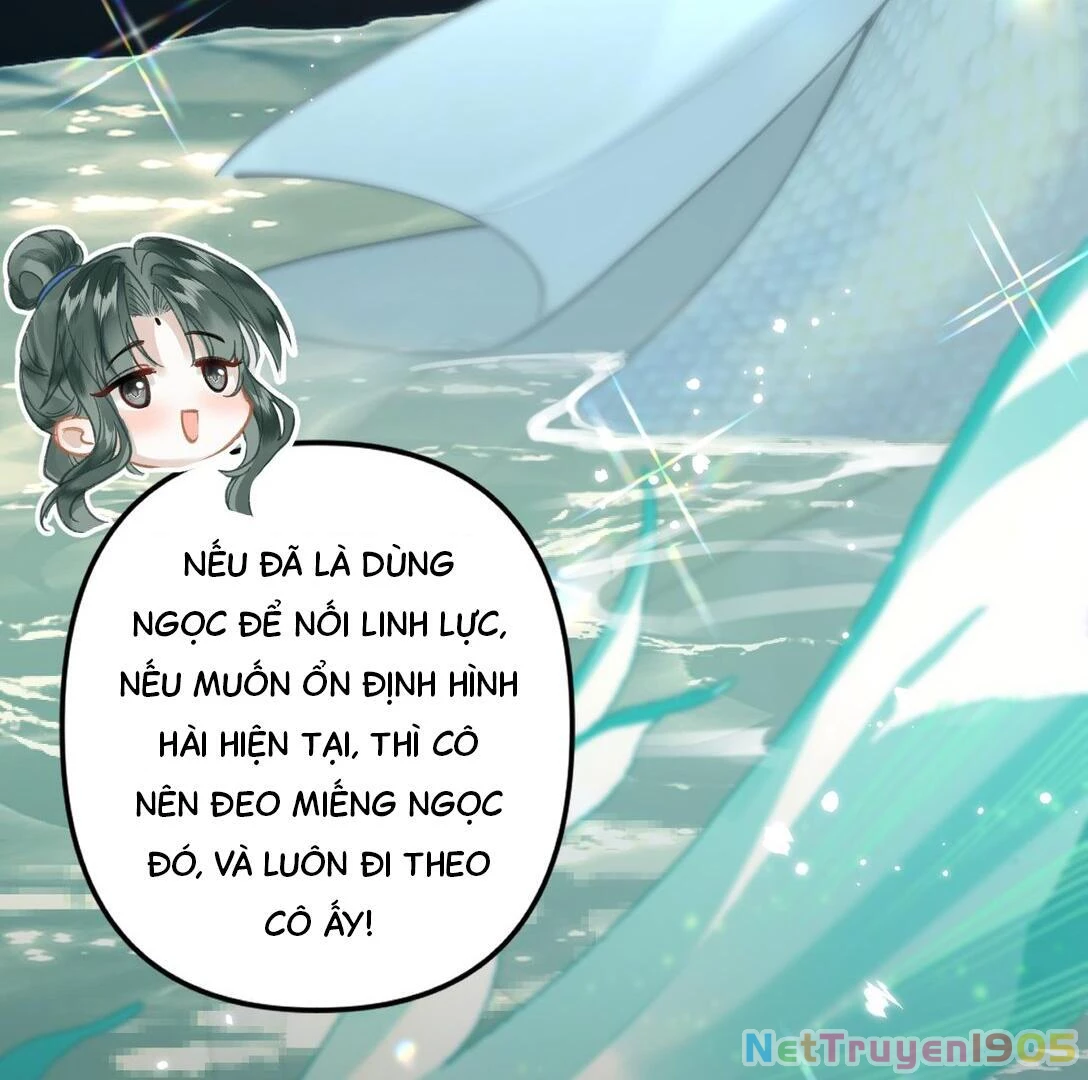 Đông Hải Tìm Mỹ Nhân Chapter 14 - 50