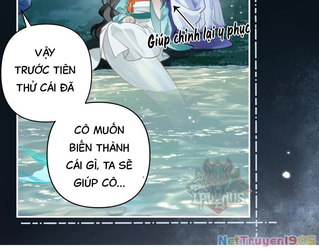 Đông Hải Tìm Mỹ Nhân Chapter 14 - 52