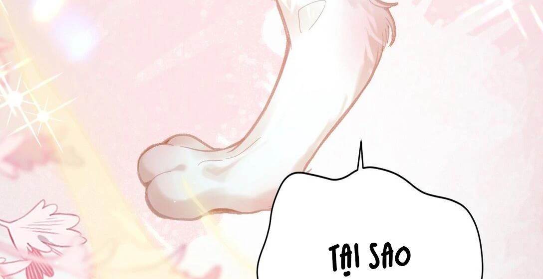 Đông Hải Tìm Mỹ Nhân Chapter 14 - 58
