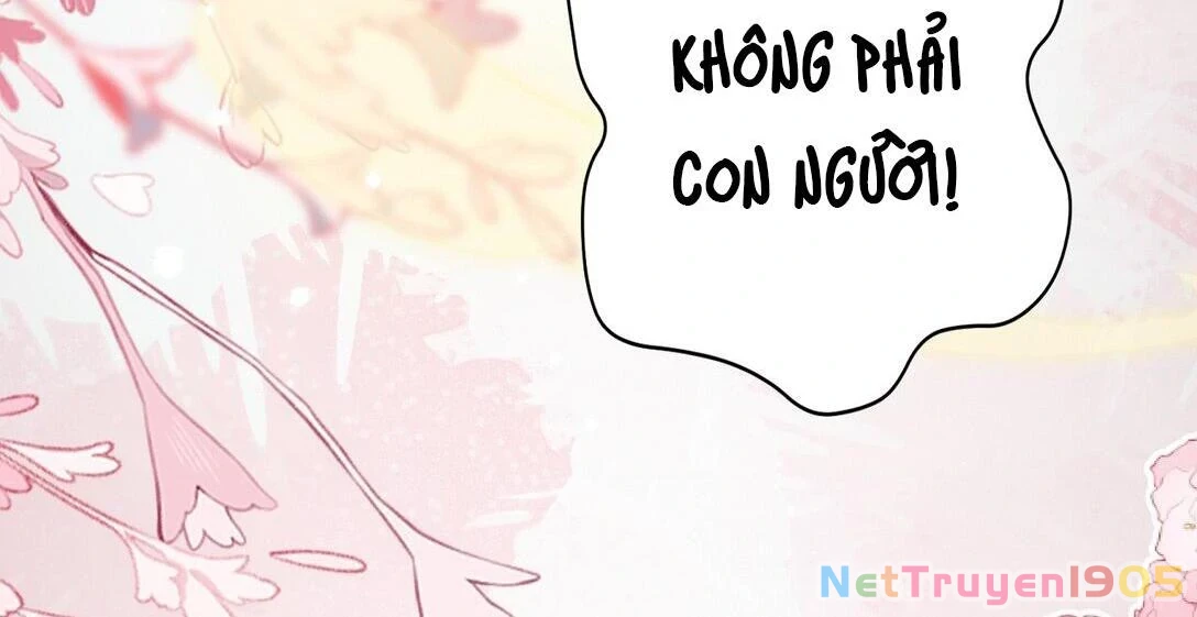 Đông Hải Tìm Mỹ Nhân Chapter 14 - 59