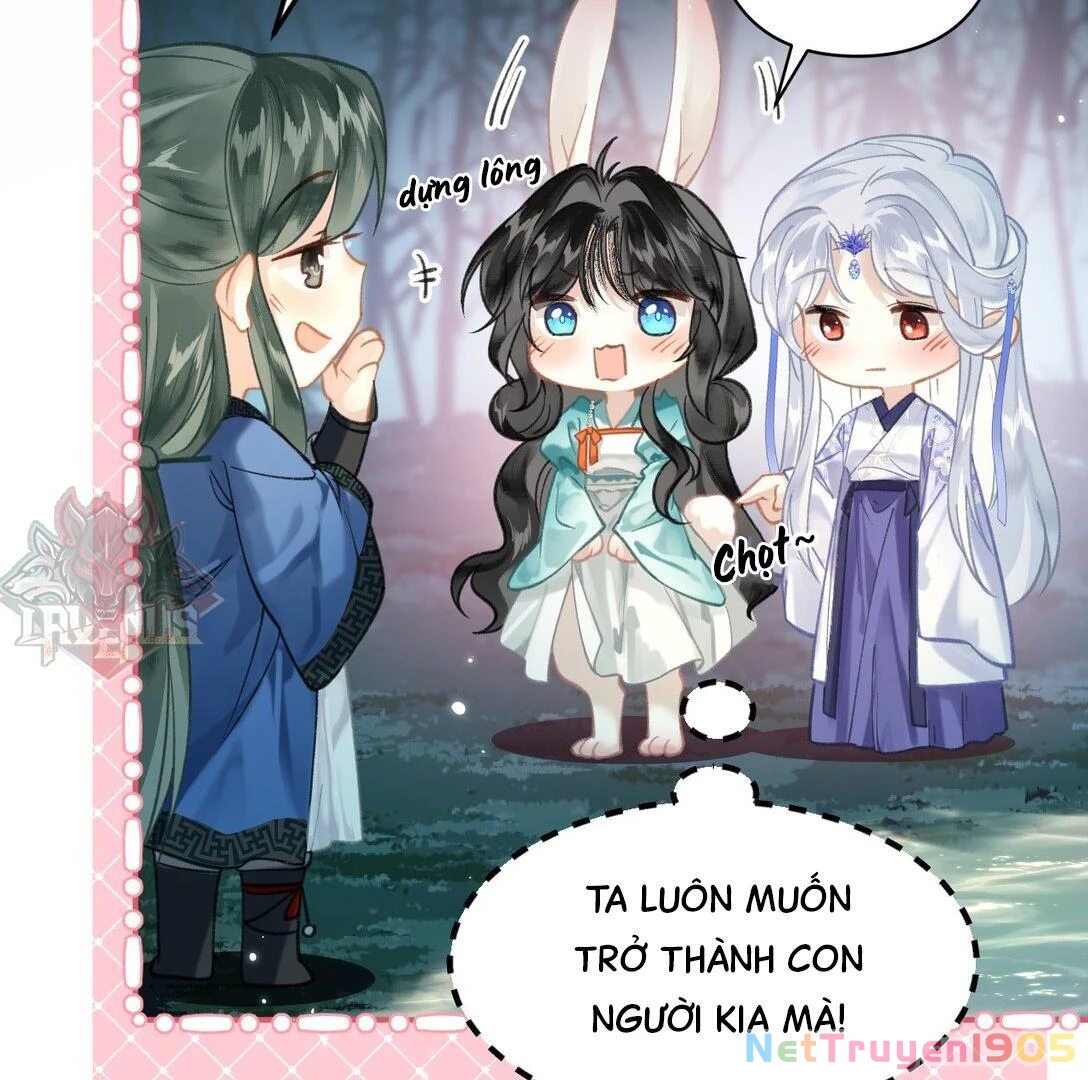 Đông Hải Tìm Mỹ Nhân Chapter 14 - 61