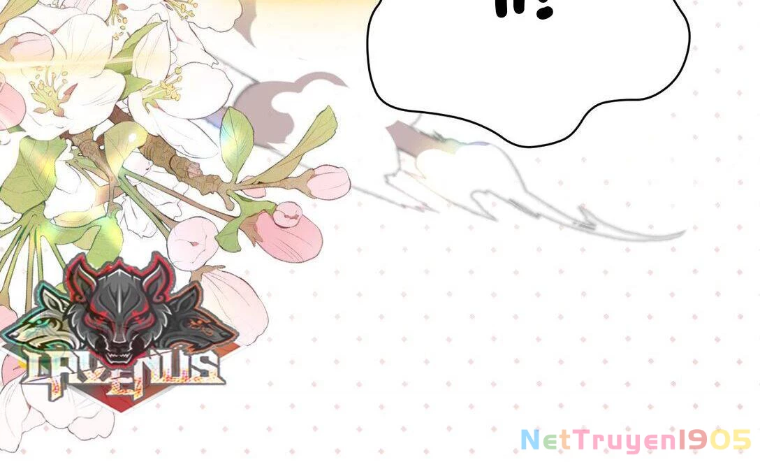 Đông Hải Tìm Mỹ Nhân Chapter 14 - 66