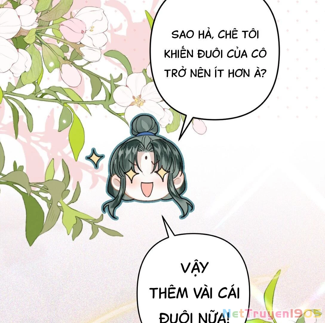 Đông Hải Tìm Mỹ Nhân Chapter 14 - 69