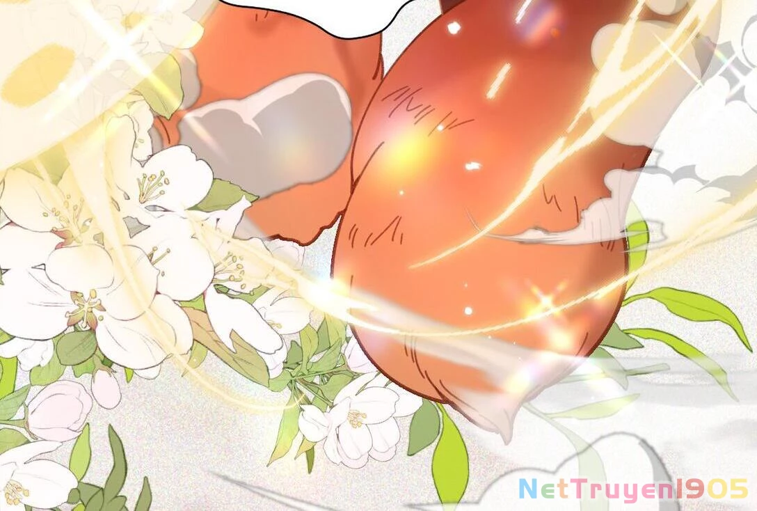 Đông Hải Tìm Mỹ Nhân Chapter 14 - 73