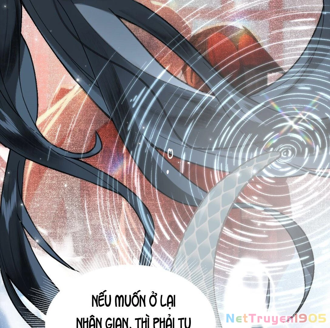 Đông Hải Tìm Mỹ Nhân Chapter 14 - 107