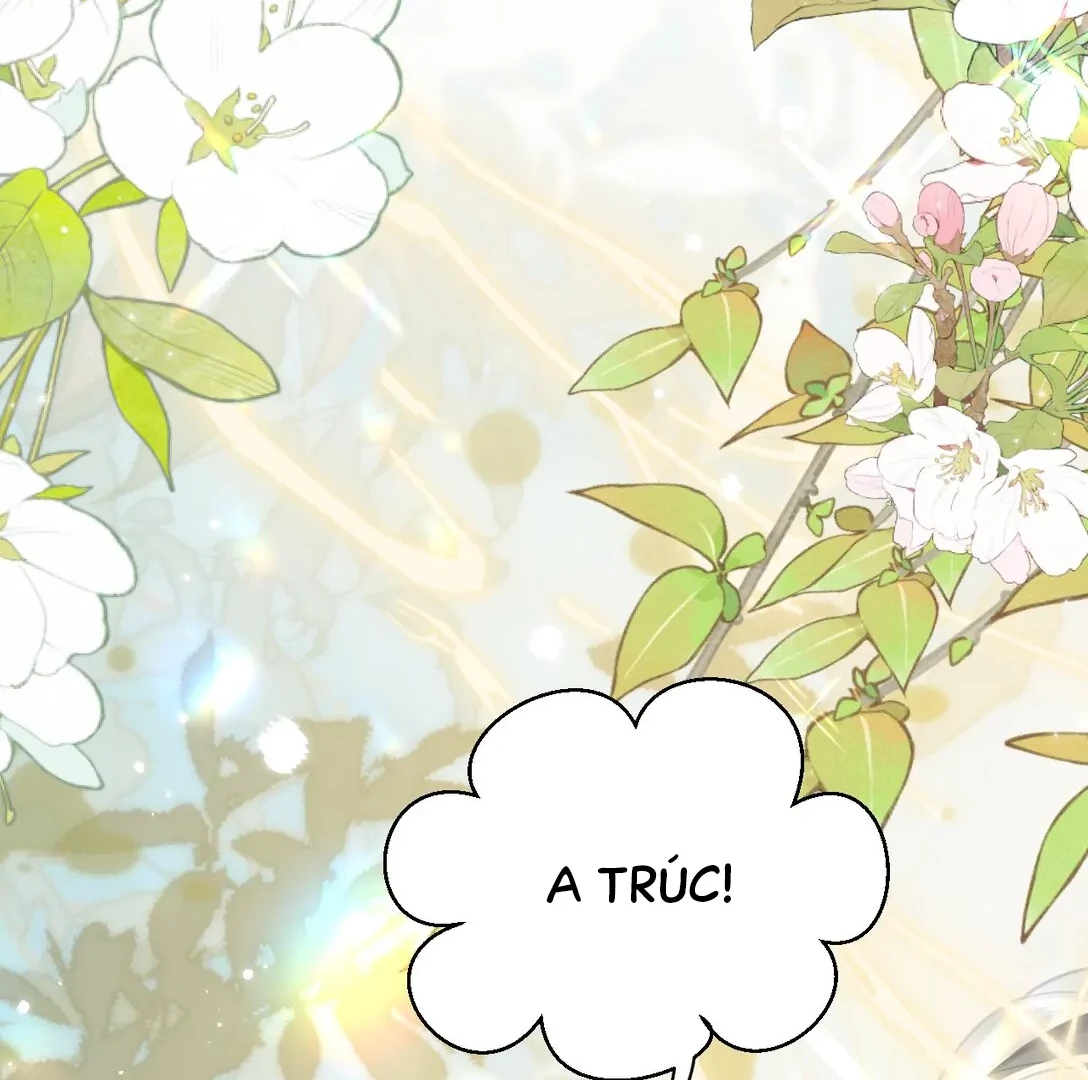 Đông Hải Tìm Mỹ Nhân Chapter 14 - 112