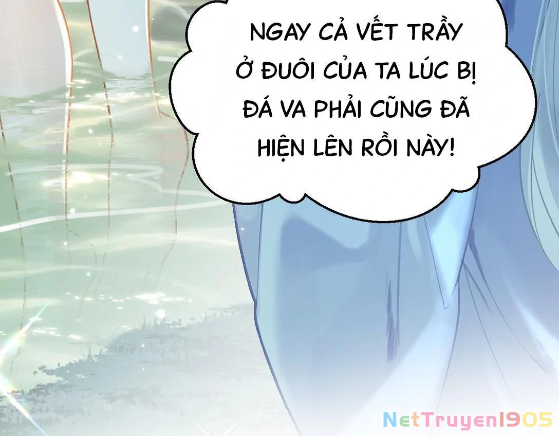Đông Hải Tìm Mỹ Nhân Chapter 15 - 8