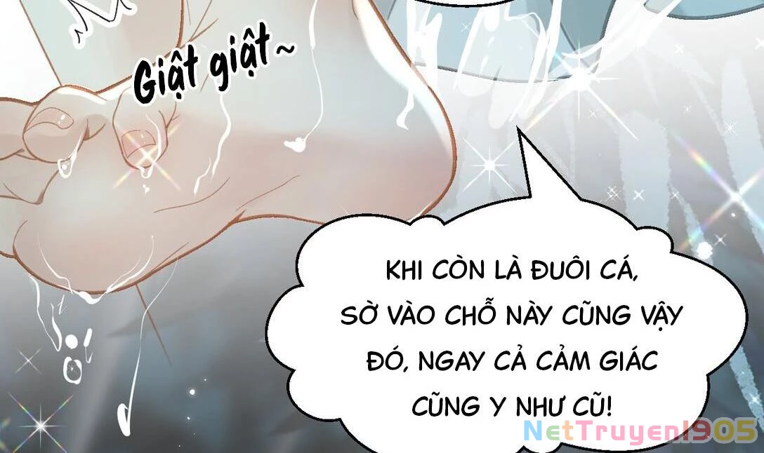 Đông Hải Tìm Mỹ Nhân Chapter 15 - 15