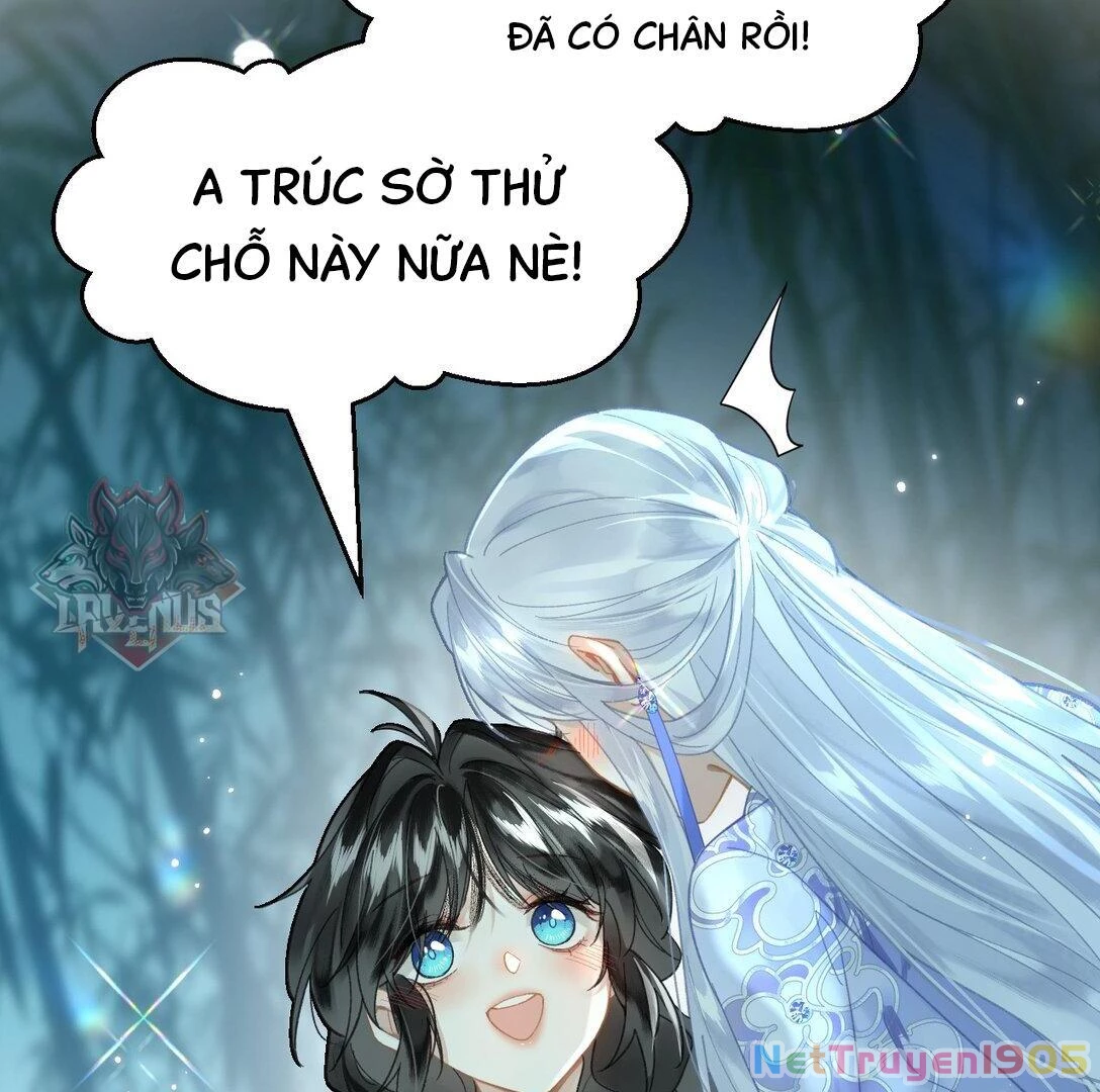 Đông Hải Tìm Mỹ Nhân Chapter 15 - 19