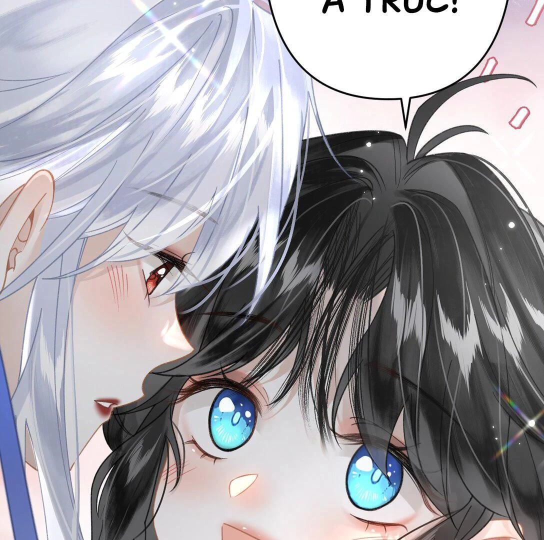 Đông Hải Tìm Mỹ Nhân Chapter 15 - 29